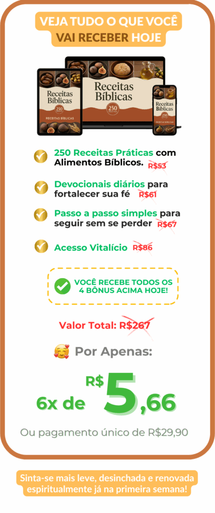 E-book do Plano Bíblico